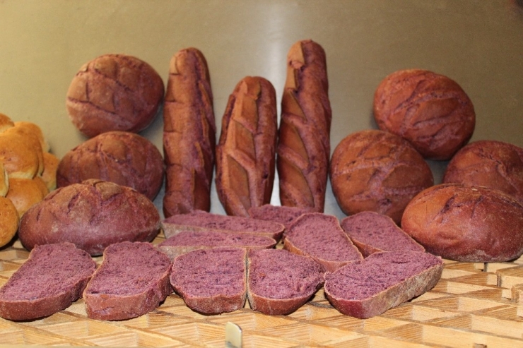 Şifa Deposu Mor Ekmek