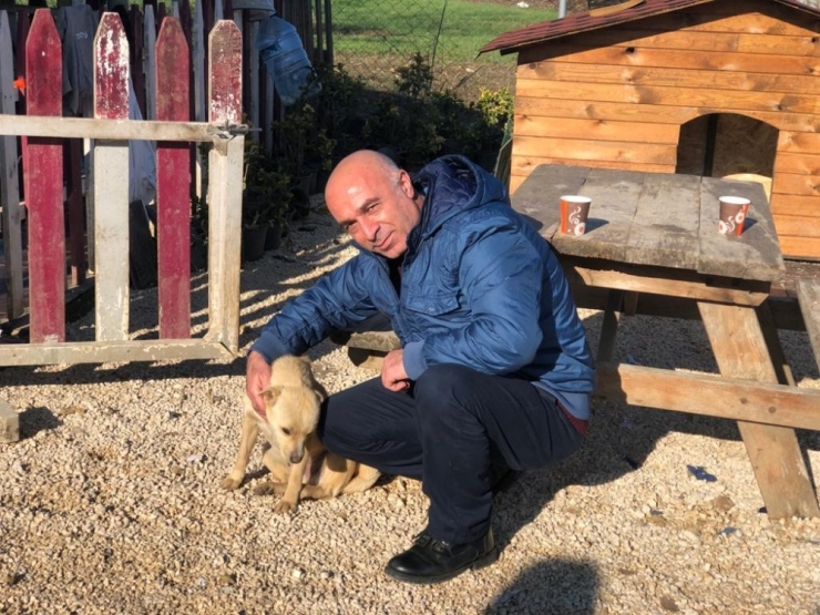 Özhan Gönüllüleri’nden Sokak Hayvanlarına Destek