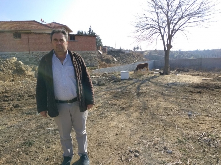 Düğün Salonu, İnşaatı Bitirilmeyince Ahıra Döndü