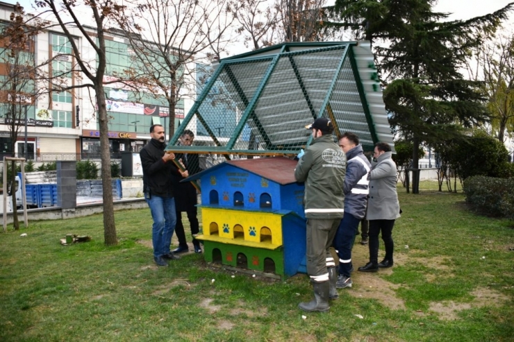 Esenyurt Belediyesi’nden Sokak Hayvanlarına Korunaklı Yuva