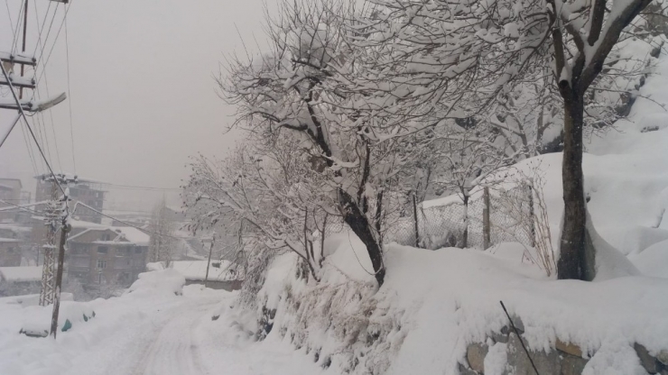 Hakkari’de Kar Esareti