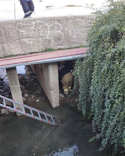 İzmir’de Dereye Düşen Yaşlı Adamı İtfaiye Kurtardı