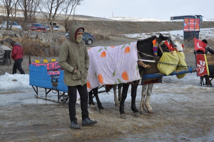 Çıldır’da Kızak Atlarına Battaniyeli Koruma