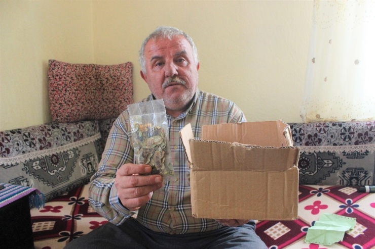 Kutudan Telefon Yerine Yaprak Ve Solüsyon Çıktı