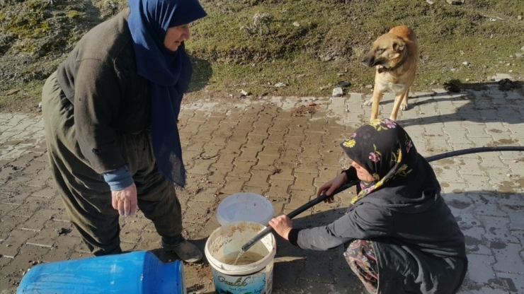 Köyde Çıkan Yangına Kadınlar Kovalarla Su Taşıyarak Müdahale Etti