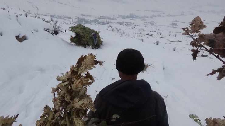 Besicilerin Zorlu Kış Mesaisi