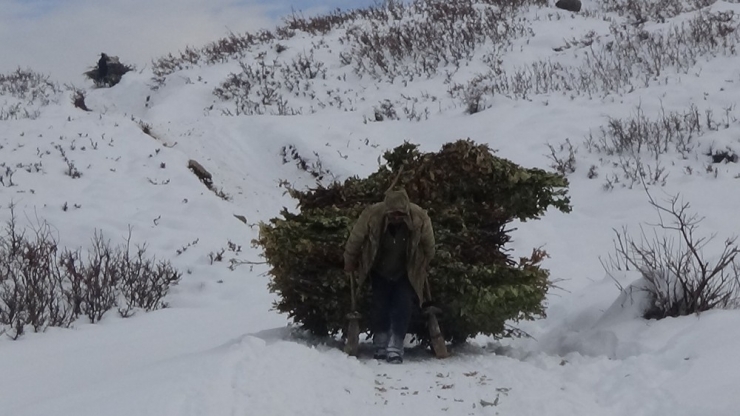 Besicilerin Zorlu Kış Mesaisi
