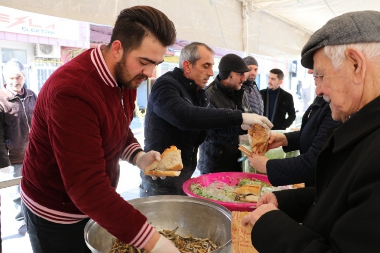 Taşova’da ‘Hamsi Festivali’