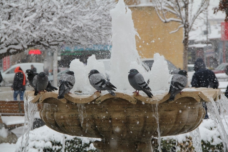 Bayburt’ta Sibirya Soğukları Etkili Oluyor