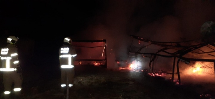 Ayvalık’ta Bir Büfede Çıkan Yangında Küle Döndü