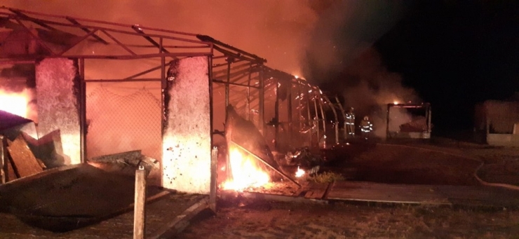 Ayvalık’ta Bir Büfede Çıkan Yangında Küle Döndü