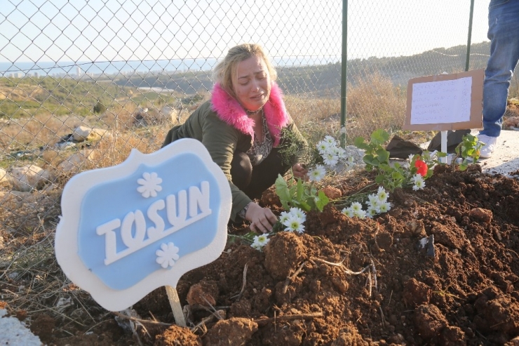 Depremde Kalp Krizinden Ölen Köpek Mersin’deki Hayvan Mezarlığına Gömüldü