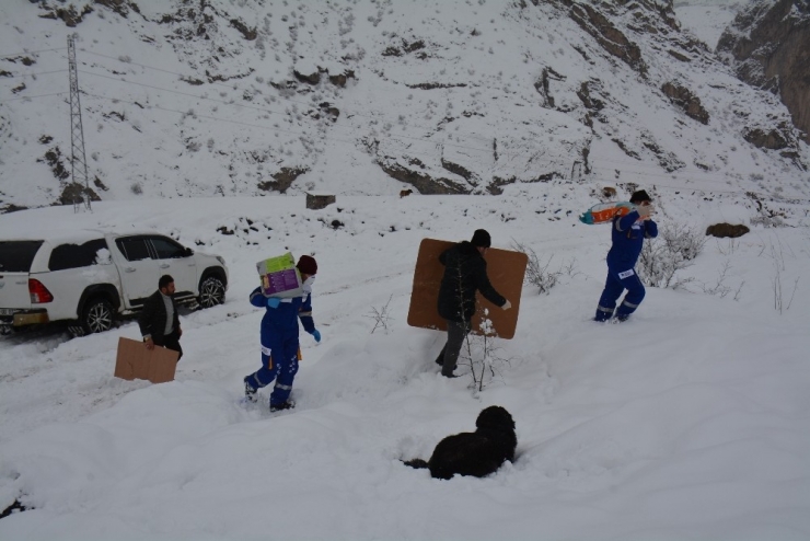 Yaralı Köpeğin Yavrularını Sütle Beslediler