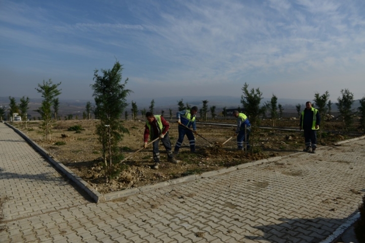 İnegöl Kent Mezarlığı Yeşilleniyor