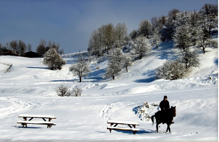 Sakin Şehir Şavşat’ta Çekilen Fotoğraflar Hayran Bırakıyor