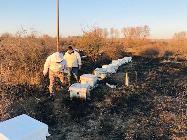 Çanakkale’de 30 Kovan Arı Yandı