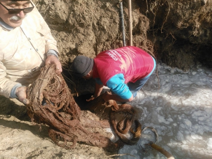 İçme Suyu Hattından 20 Metrelik Ağaç Kökü Çıktı