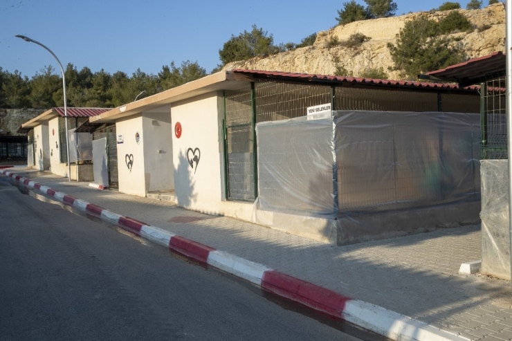 Mersin’de 800 Köpek Ve 550 Kedi Sahiplendirildi