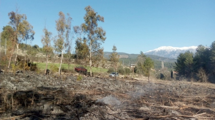 Seydikemer’de Yanmak Üzere Olan Kaplumbağayı İtfaiye Ekipleri Kurtardı