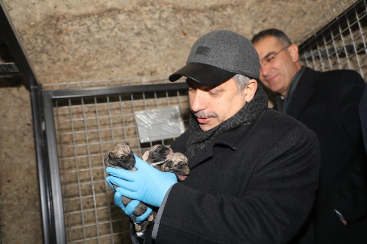 Pati Köy Kışın Da Güzel