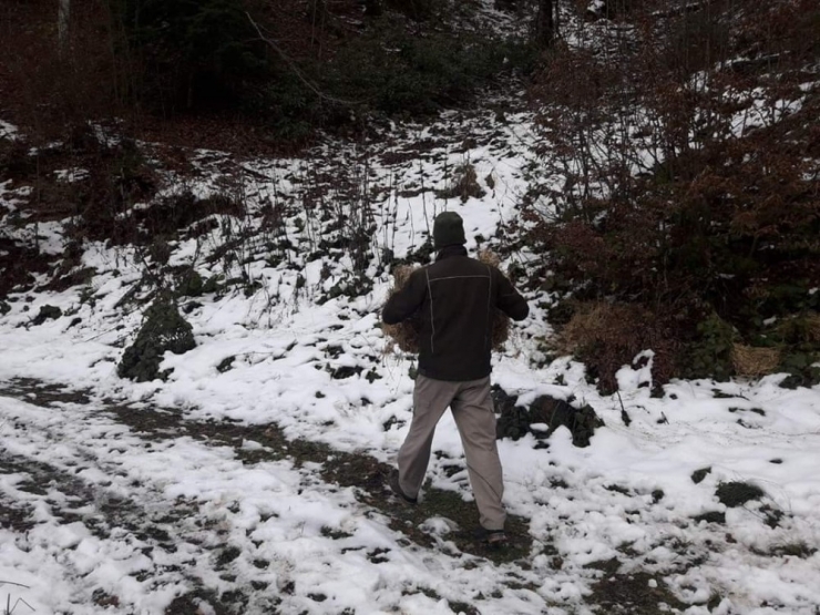 Yaban Hayvanlarına Yem Ve Yiyecek Desteği Verildi