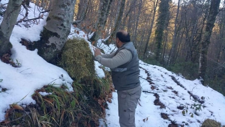 Yaban Hayvanlarına Yem Ve Yiyecek Desteği Verildi
