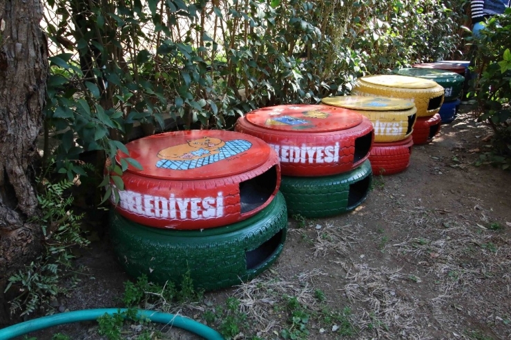 Bayraklı’da Kedi Evleri Yenilendi