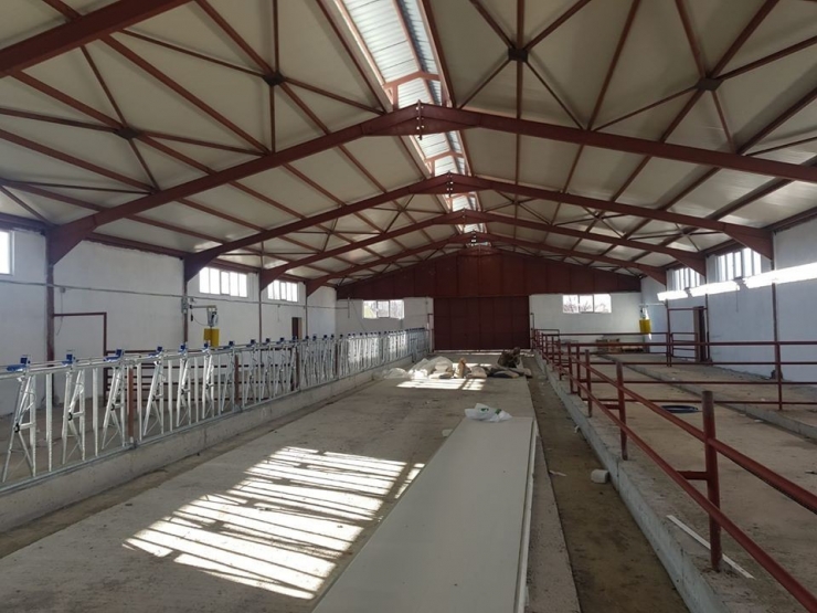 Erzincan’da Hayvancılık Yatırımları Devam Ediyor