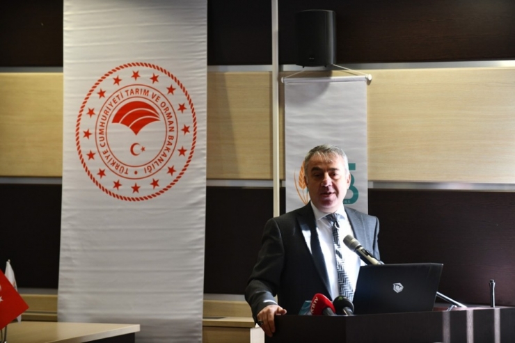 Üreticilere, "Besi Olgunluğuna Ulaşmış Hayvanları Fazla Beslemeyin" Uyarısı