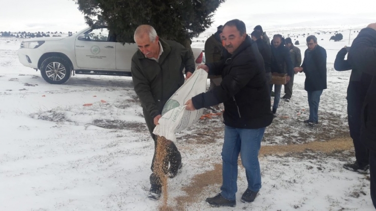 Kayseri’de Yaban Hayatına Tam Destek
