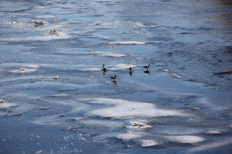 Zara’da Kızılırmak’ın Yüzeyi Kısmen Buz Tuttu