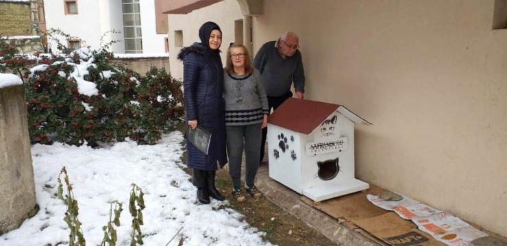 Tarihi Kentte Sokak Hayvanlarına Ev