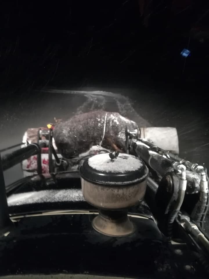 Kaybolan İneği Ararken Az Daha Donuyorlardı