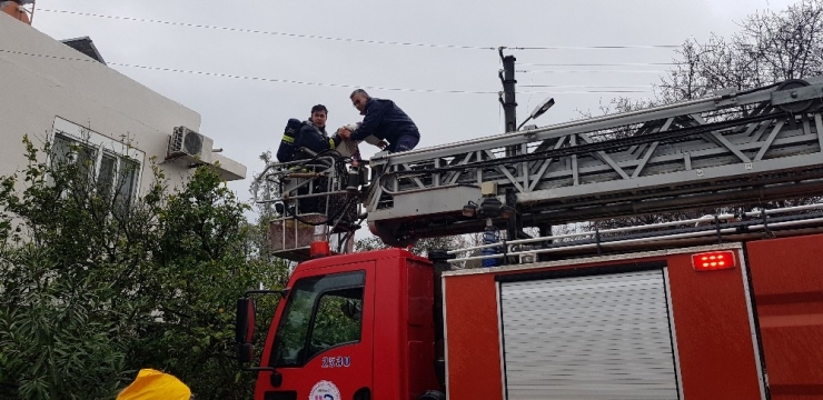 Alzaymır Hastası Yaşlı Kadın Yanan Evden Böyle Kurtarıldı