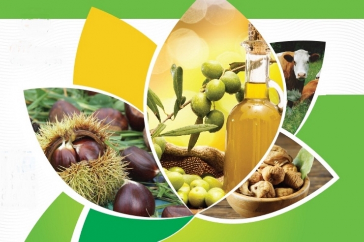 Aydın İncir, Kestane, Yağlık Zeytin Ve Kerevizde Liderliğini Korudu