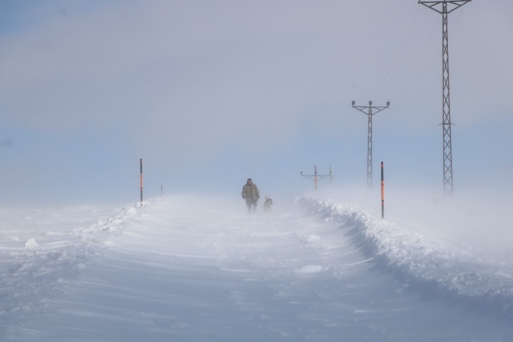 Kurtların Korkulu Rüyası Kangallar, Sibirya Soğuklarında Eğitiliyor