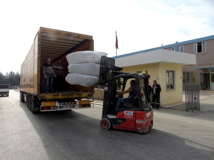 Deprem Bölgesinde Yaralar Sarılıyor