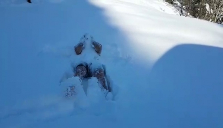 Başmüdürün Geleneksel Kar Banyosu