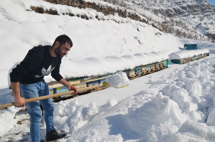 Şırnak’ta Arıcıların Zorlu Kış Mesaisi Devam Ediyor