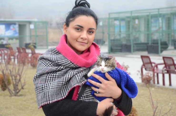 Tek Ayağı Olmayan Kediyi Sahiplendi