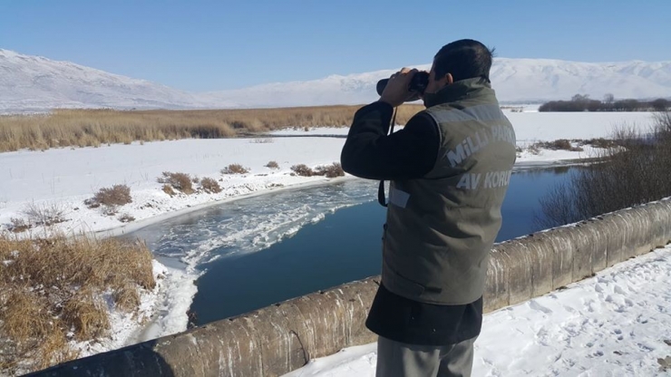 Van’da Yaban Hayvanlarına Yem Desteği