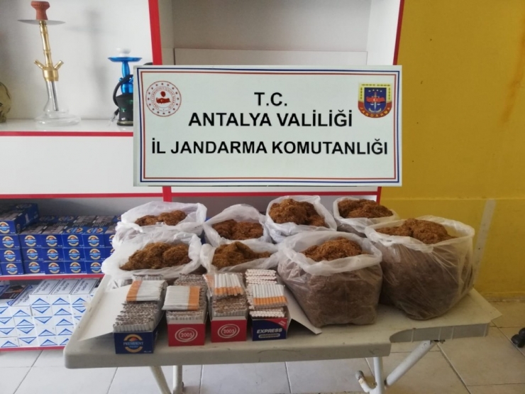 Antalya’da Jandarmadan Kaçak Sigara Denetimi