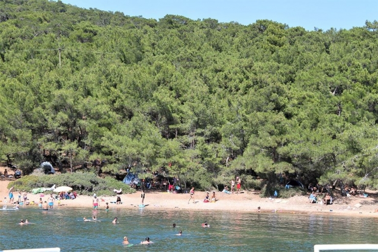 Ayvalık Tabiat Platformu’ndan Açıklama