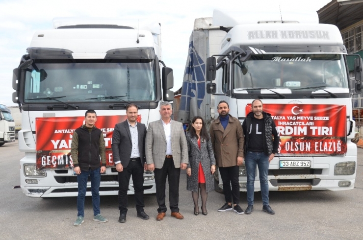 Baib Öncülüğünde Depremzedelere 40 Tonun Üzerinde Meyve-sebze Gönderildi