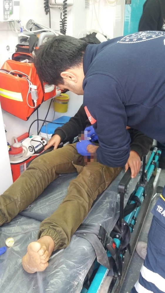 Köpek 11 Yaşındaki Çocuğa Saldırıp Isırdı