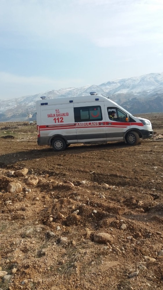 Köpek 11 Yaşındaki Çocuğa Saldırıp Isırdı