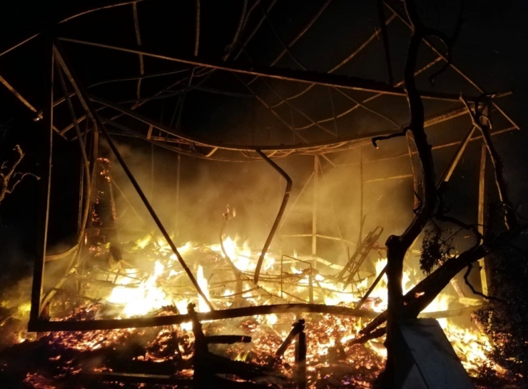 Baca Yangını Zeytin Tarlasına Sıçradı