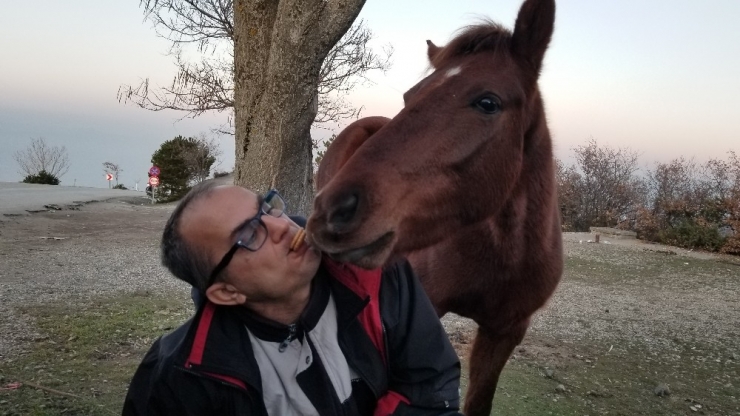 Yabani Yılkı Atlarını Ağzıyla Besledi