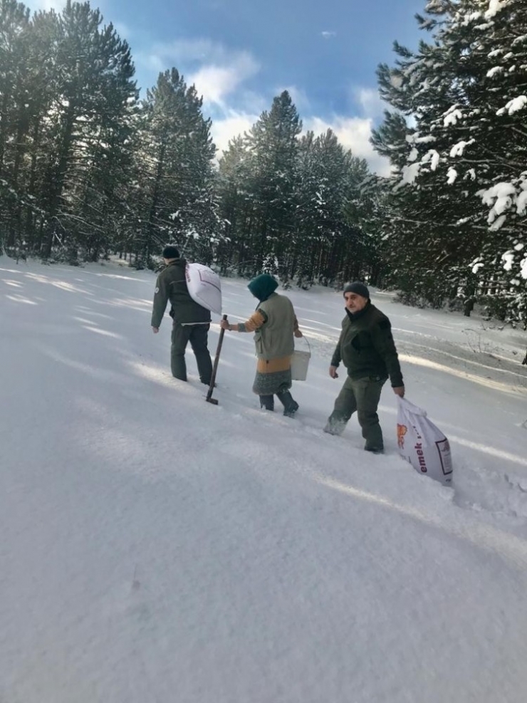 Yaban Hayvanlarına Yem Bırakıldı