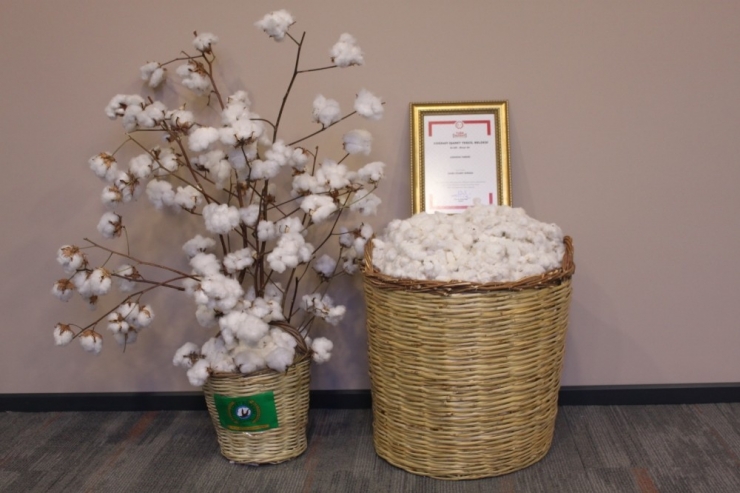 Çukurova Pamuğu Tescillendi Sırada 32 Ürün Var